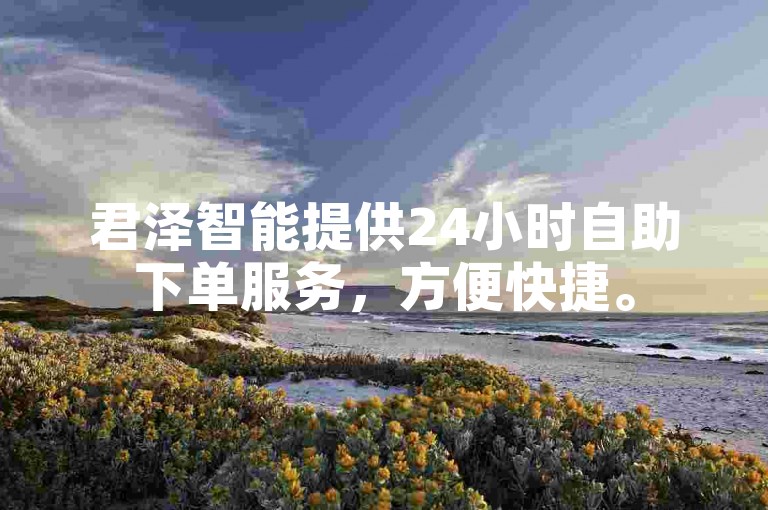 君泽智能提供24小时自助下单服务，方便快捷。