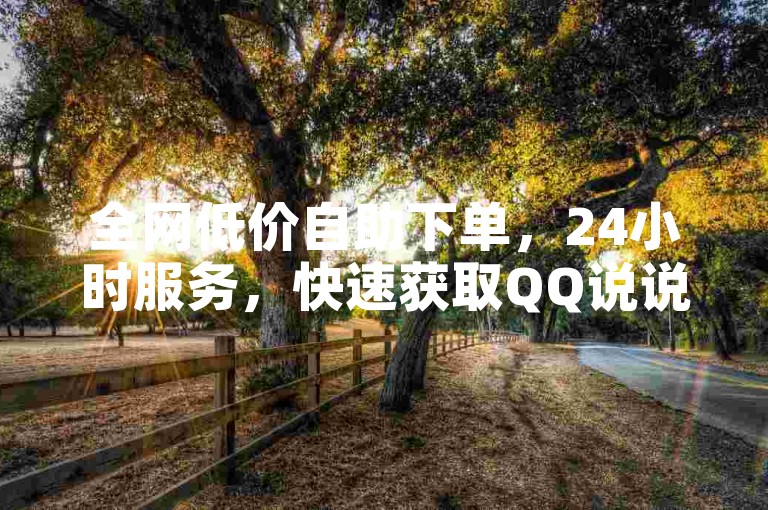 全网低价自助下单，24小时服务，快速获取QQ说说赞。