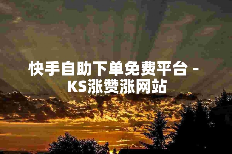 快手自助下单免费平台 - KS涨赞涨网站