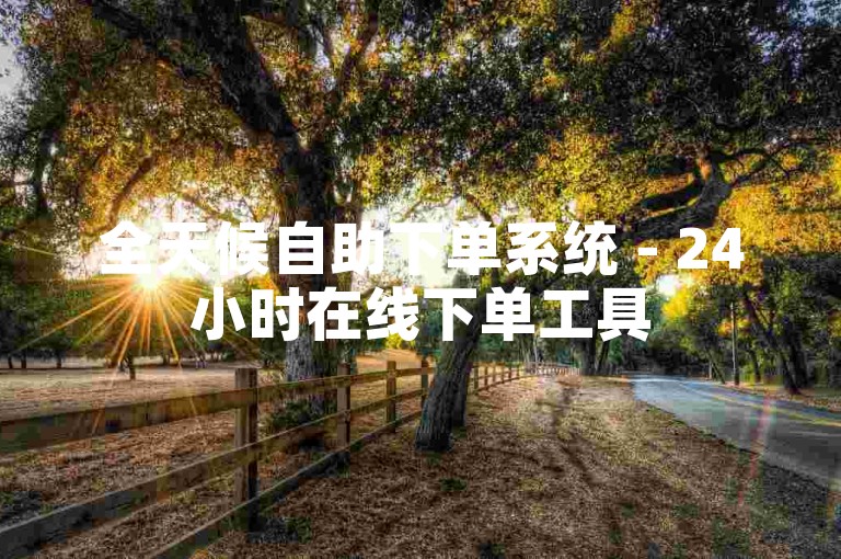 全天候自助下单系统 - 24小时在线下单工具
