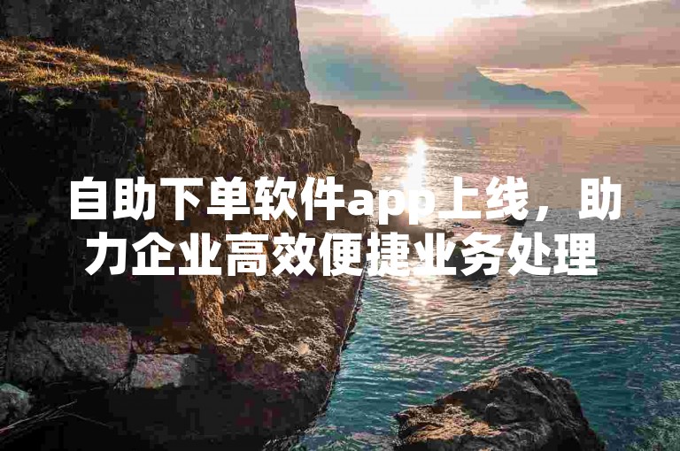 自助下单软件app上线，助力企业高效便捷业务处理。
