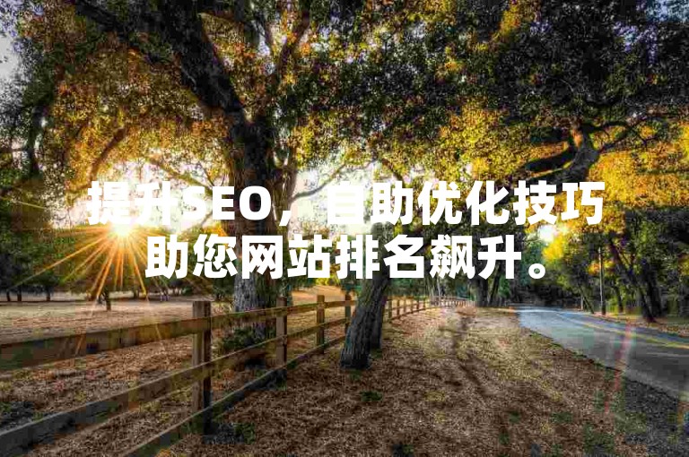 提升SEO，自助优化技巧助您网站排名飙升。