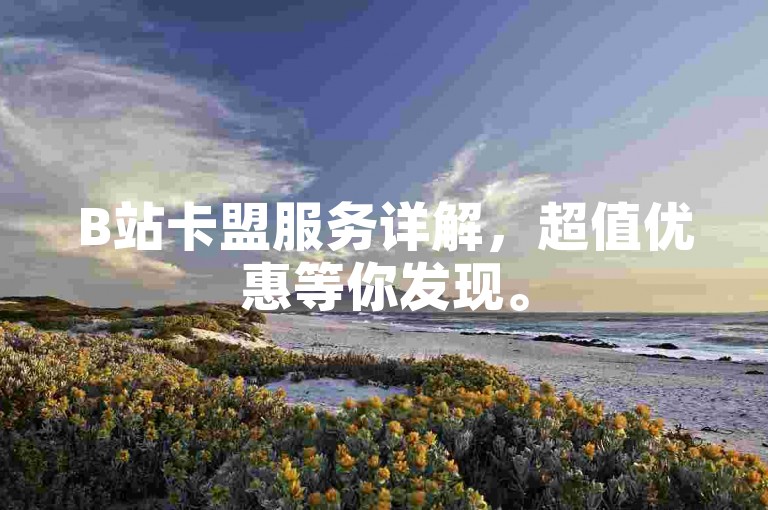 B站卡盟服务详解，超值优惠等你发现。