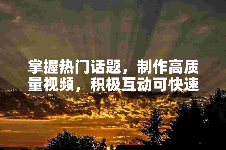 掌握热门话题，制作高质量视频，积极互动可快速吸粉。