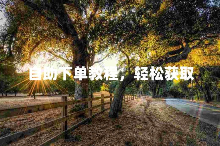 自助下单教程，轻松获取50赞，提升抖音视频人气。
