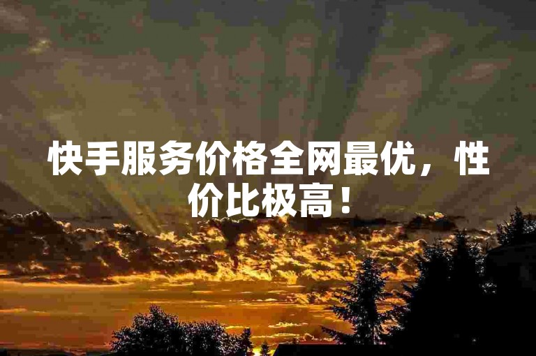 快手服务价格全网最优，性价比极高！
