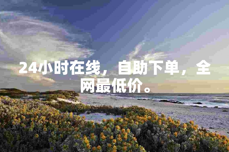 24小时在线，自助下单，全网最低价。