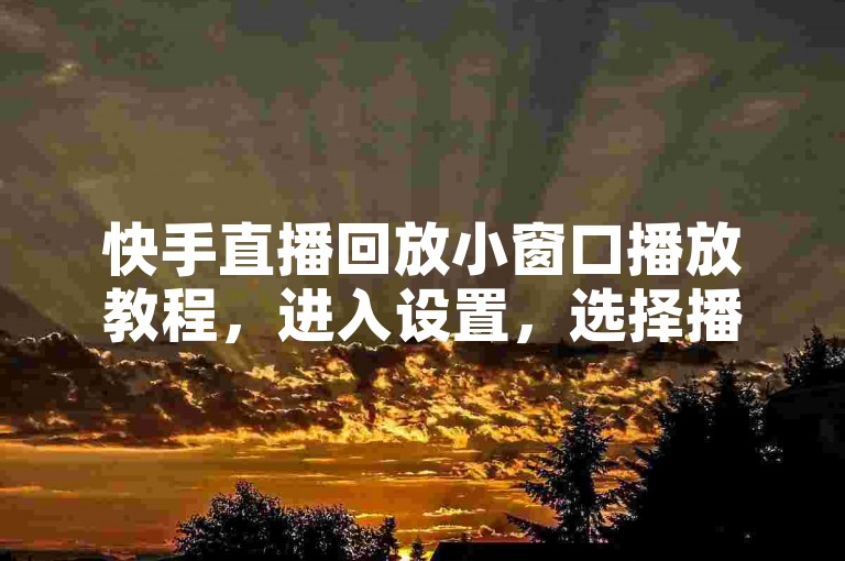 快手直播回放小窗口播放教程，进入设置，选择播放模式，点击小窗口。