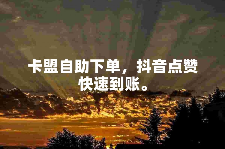 卡盟自助下单，抖音点赞快速到账。