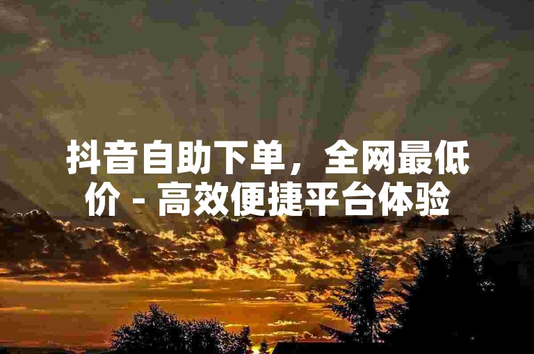 抖音自助下单，全网最低价 - 高效便捷平台体验
