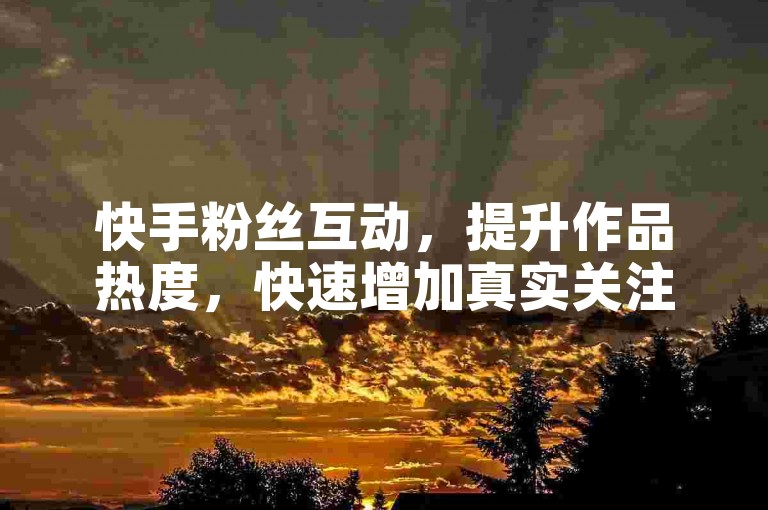 快手粉丝互动，提升作品热度，快速增加真实关注。