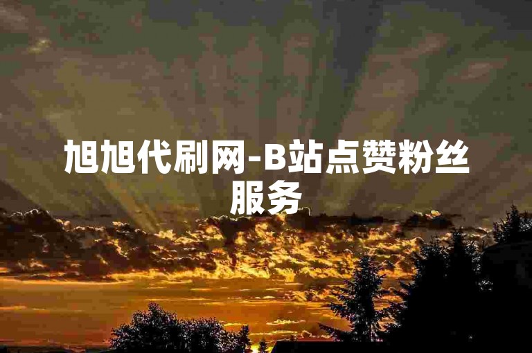 旭旭代刷网-B站点赞粉丝服务