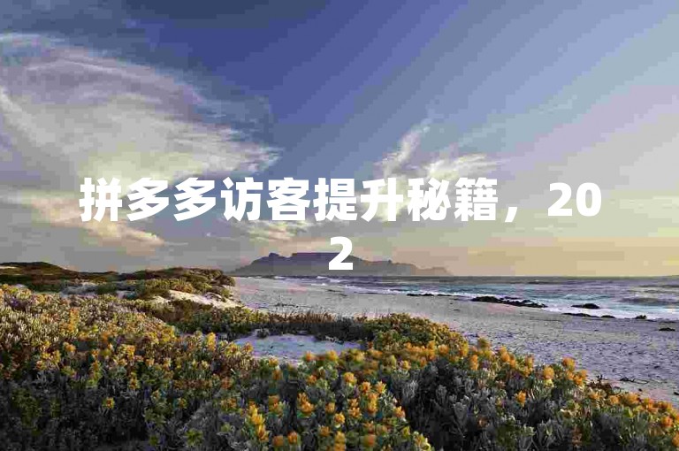 拼多多访客提升秘籍，2025必备增长技巧！