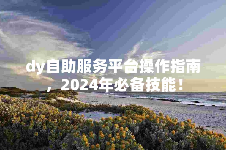 dy自助服务平台操作指南，2024年必备技能！