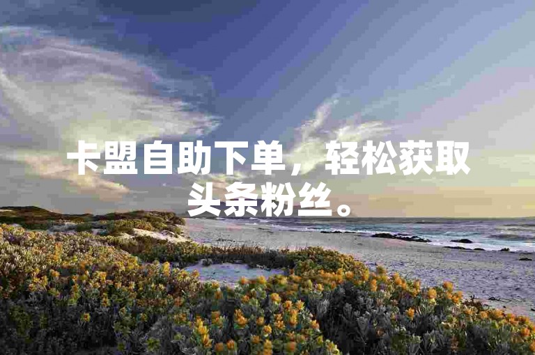 卡盟自助下单，轻松获取头条粉丝。