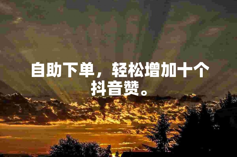 自助下单，轻松增加十个抖音赞。