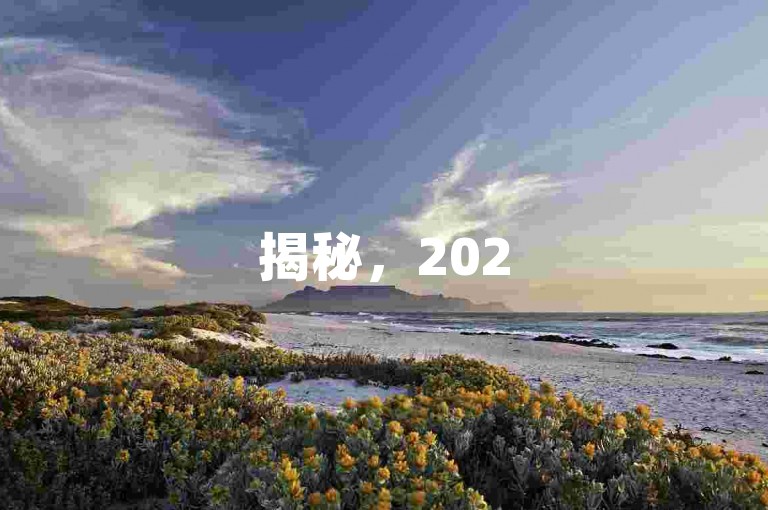 揭秘，2025年必学的空间访客提升技巧！