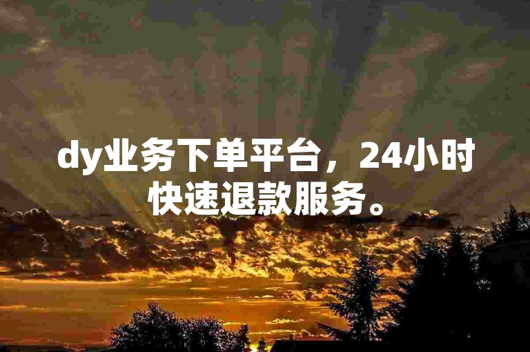 dy业务下单平台，24小时快速退款服务。