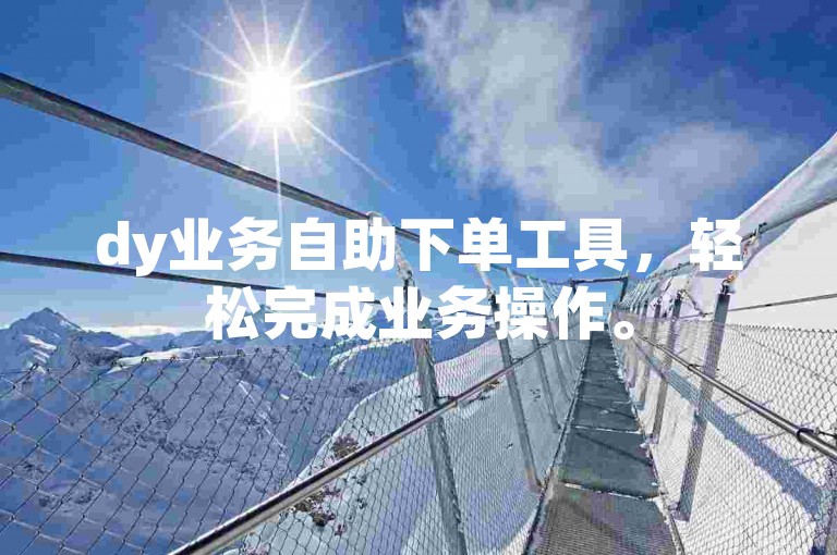 dy业务自助下单工具，轻松完成业务操作。