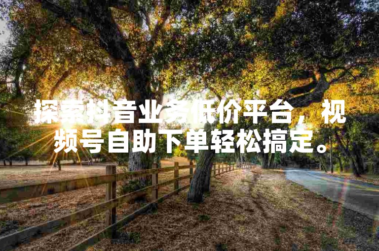 探索抖音业务低价平台，视频号自助下单轻松搞定。