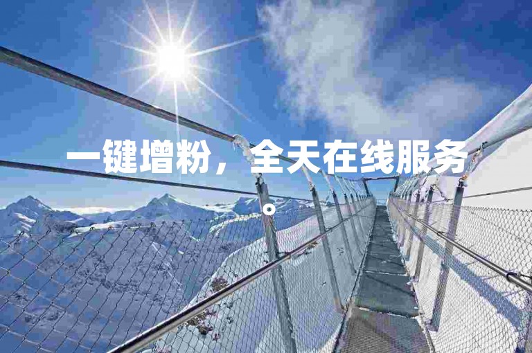 一键增粉，全天在线服务。