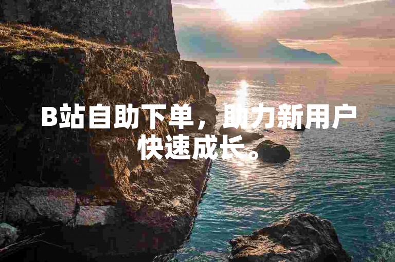 B站自助下单，助力新用户快速成长。