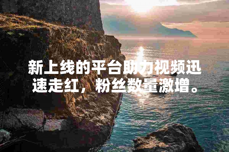 新上线的平台助力视频迅速走红，粉丝数量激增。