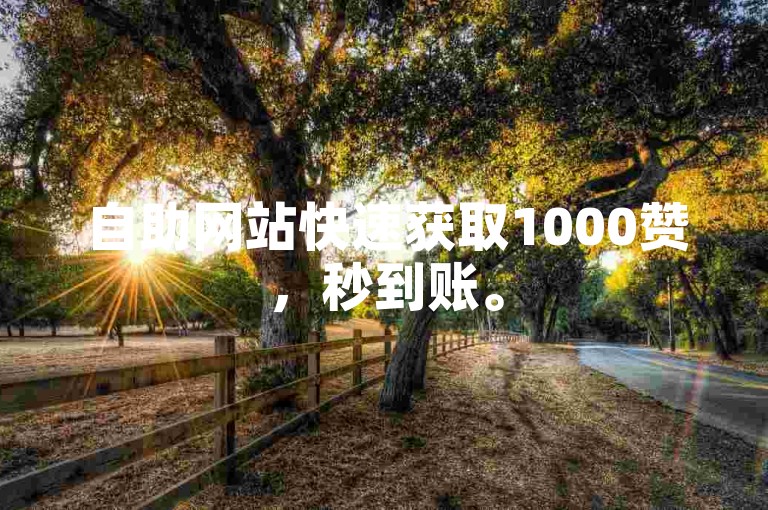 自助网站快速获取1000赞，秒到账。