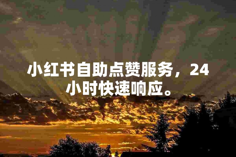 小红书自助点赞服务，24小时快速响应。