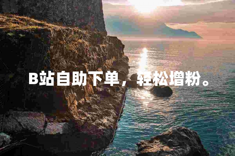 B站自助下单，轻松增粉。