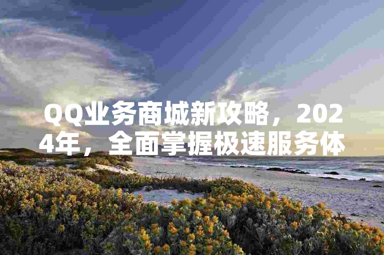 QQ业务商城新攻略，2024年，全面掌握极速服务体验！
