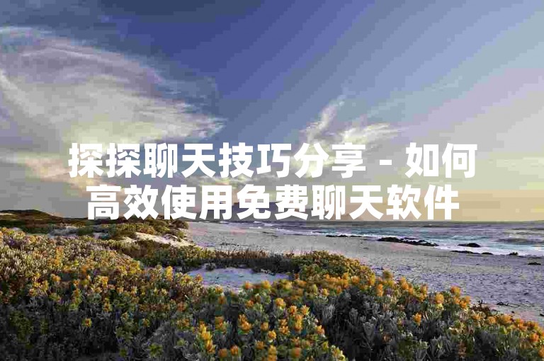 探探聊天技巧分享 - 如何高效使用免费聊天软件