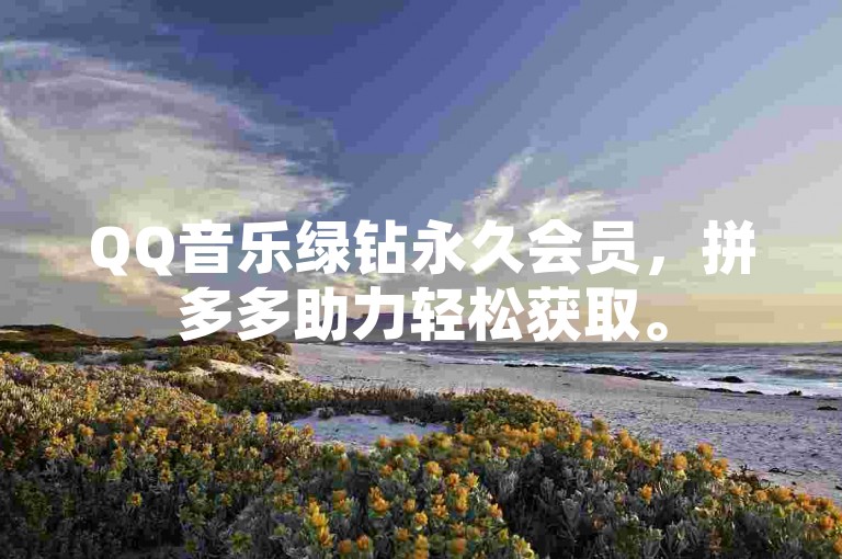 QQ音乐绿钻永久会员，拼多多助力轻松获取。