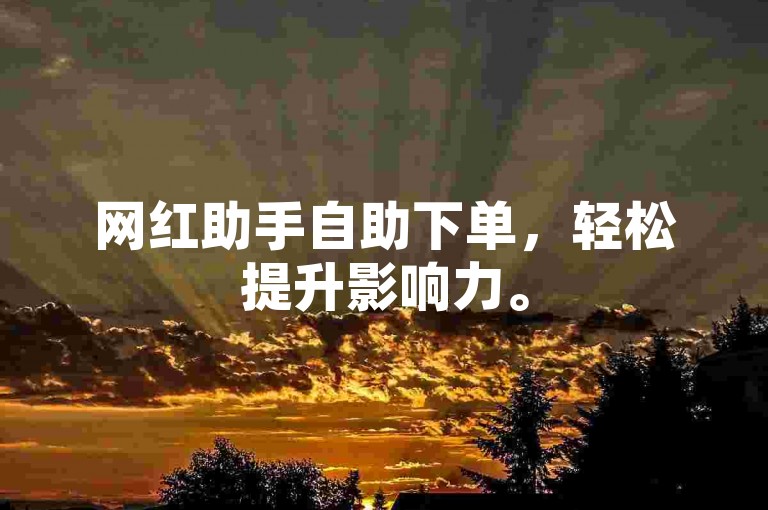 网红助手自助下单，轻松提升影响力。