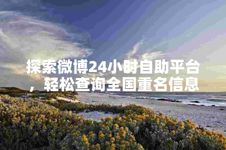 探索微博24小时自助平台，轻松查询全国重名信息。