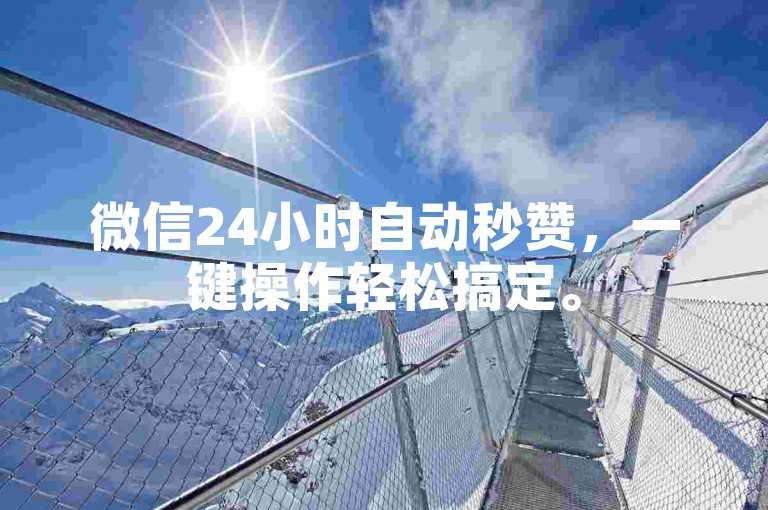 微信24小时自动秒赞，一键操作轻松搞定。