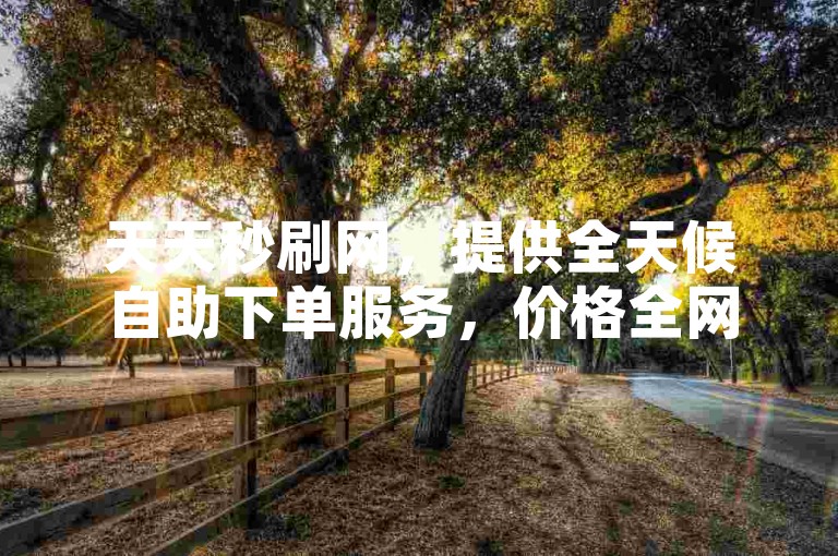 天天秒刷网，提供全天候自助下单服务，价格全网最优。