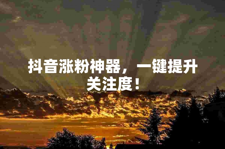 抖音涨粉神器，一键提升关注度！