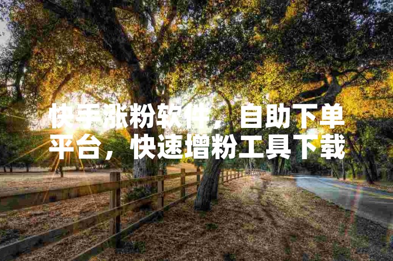 快手涨粉软件，自助下单平台，快速增粉工具下载。