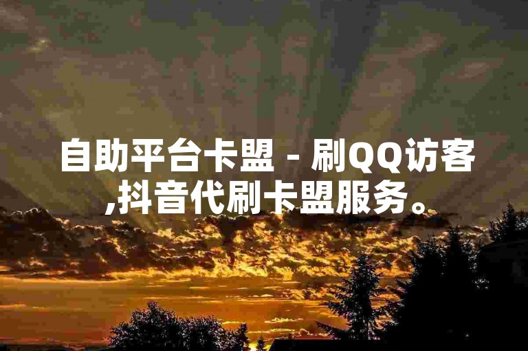 自助平台卡盟 - 刷QQ访客,抖音代刷卡盟服务。