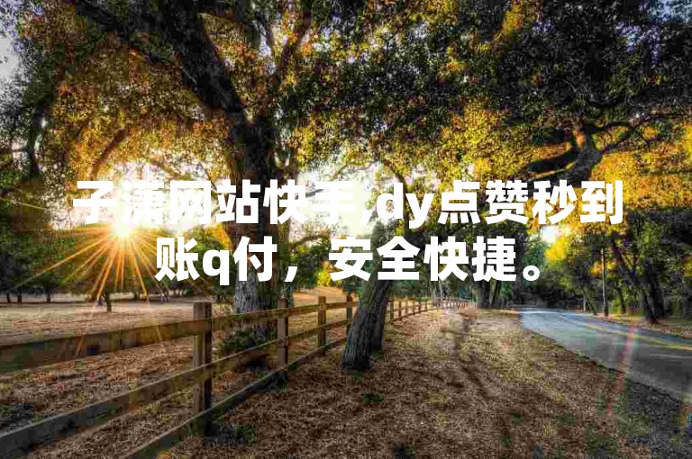 子潇网站快手,dy点赞秒到账q付，安全快捷。