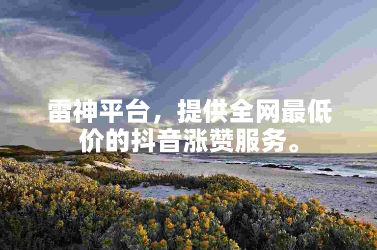雷神平台，提供全网最低价的抖音涨赞服务。
