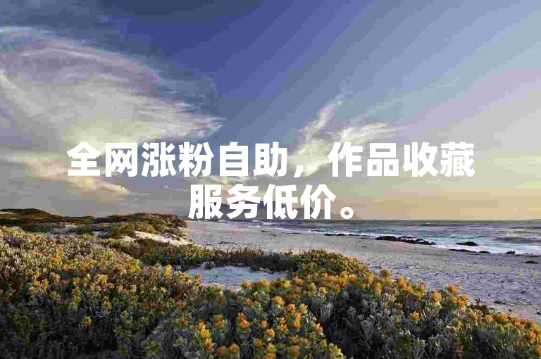 全网涨粉自助，作品收藏服务低价。