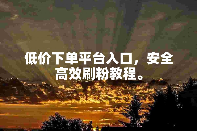 低价下单平台入口，安全高效刷粉教程。