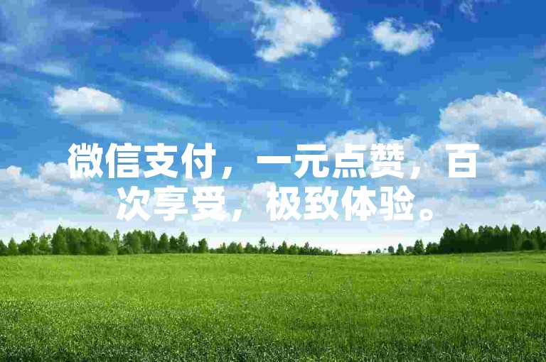 微信支付，一元点赞，百次享受，极致体验。