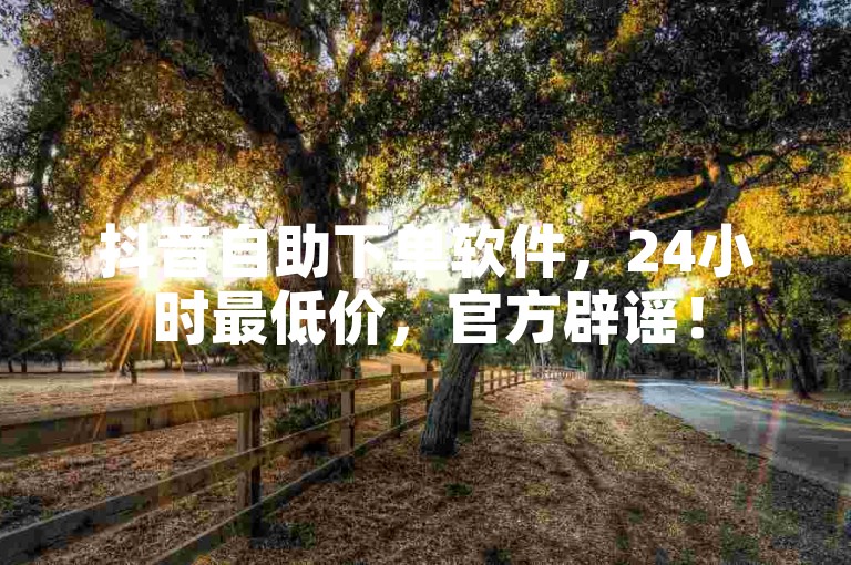 抖音自助下单软件，24小时最低价，官方辟谣！