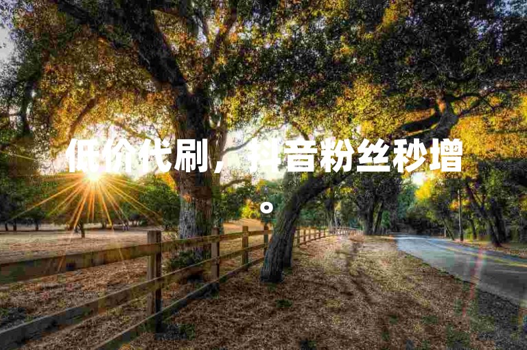 低价代刷，抖音粉丝秒增。