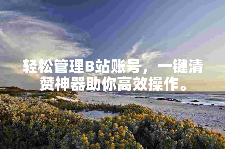轻松管理B站账号，一键清赞神器助你高效操作。