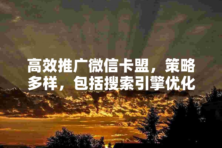 高效推广微信卡盟，策略多样，包括搜索引擎优化、病毒式营销及行业合作等。