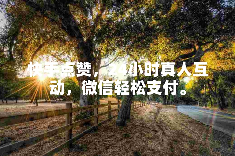 快手点赞，24小时真人互动，微信轻松支付。
